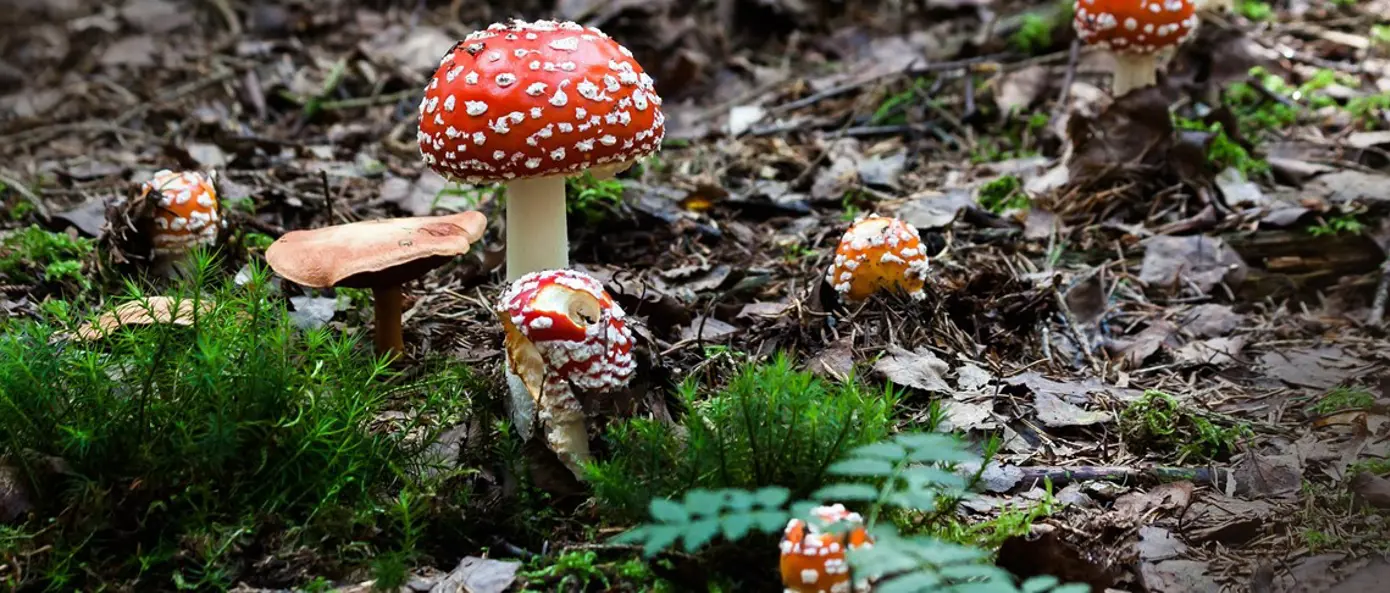 Miljöarbete Miljöarbete