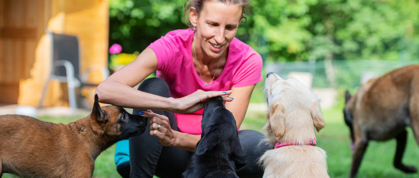 Om DigITdog Om DigITdog